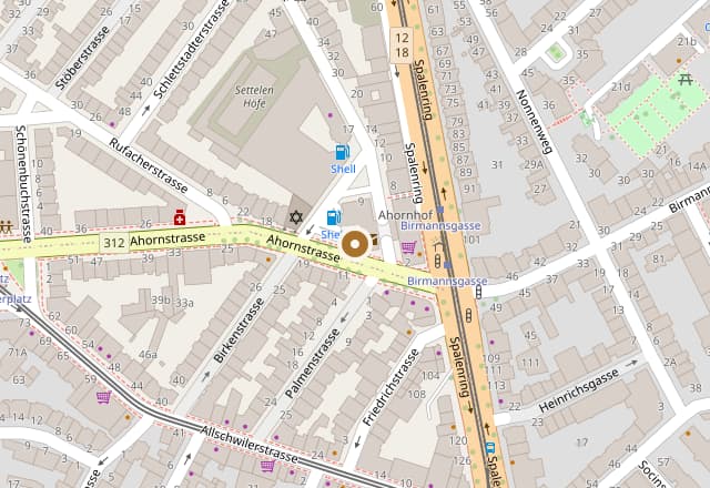 Kartenausschnitt: Ahornstrasse 10 in Basel, markiert mit einem Punkt zwischen Spalenring und Allschwilerstrasse